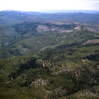 1960 Anthony fire area - 1992